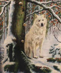wolf_05_k